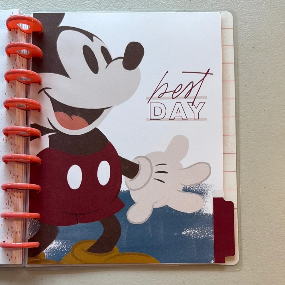 Disney Mickey and Minnie 